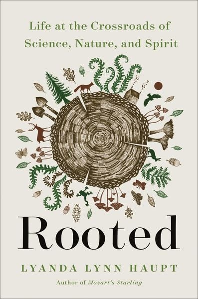 Produktbild: Rooted