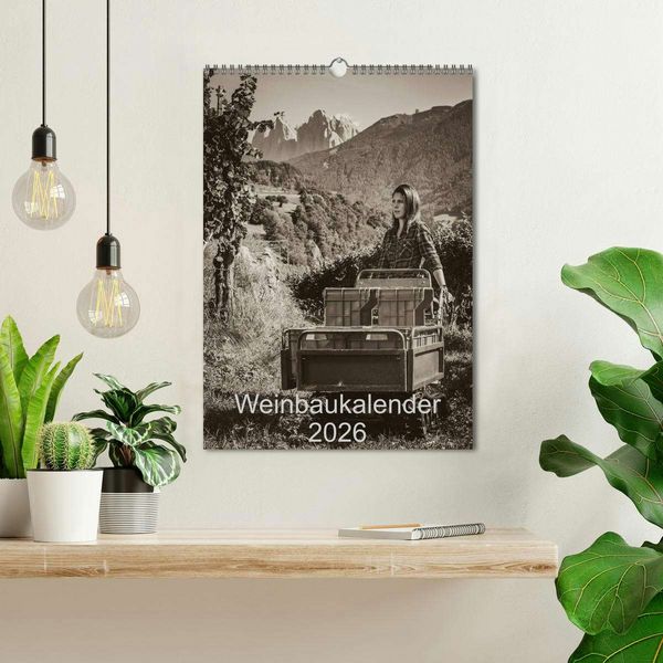 Produktbild: Weinbaukalender 2026 (Wandkalender 2026 DIN A3 hoch), CALVENDO Monatskalender