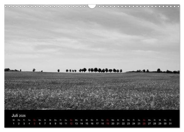 Produktbild: B&auml;ume trees 2026 (Wandkalender 2026 DIN A3 quer), CALVENDO Monatskalender