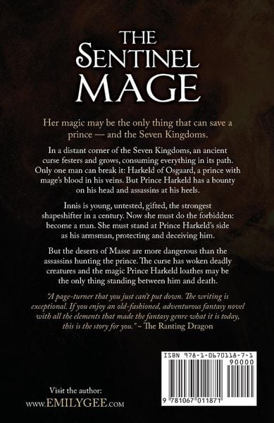 Produktbild: The Sentinel Mage