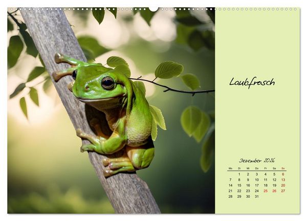 Produktbild: Heimische und exotische Amphibien (Wandkalender 2026 DIN A2 quer), CALVENDO Monatskalender