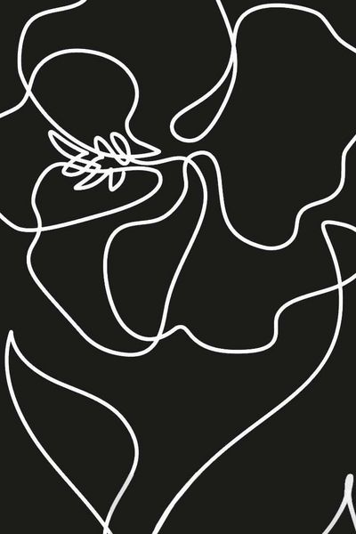 Produktbild: The Invisible Wild