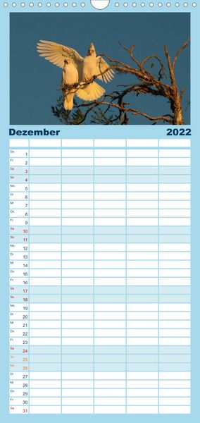 Produktbild: Familienplaner V&ouml;gel von "Down Under" Australien (Wandkalender 2022 , 21 cm x 45 cm, hoch)
