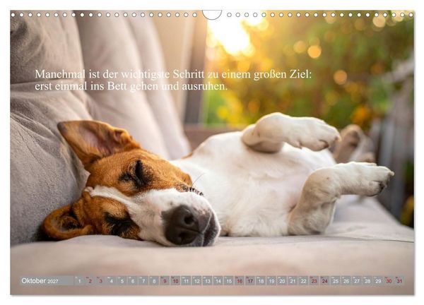 Produktbild: Erst schlafen, dann Welt retten (Wandkalender 2027 DIN A3 quer), CALVENDO Monatskalender