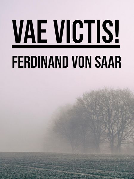 Produktbild: Vae victis!