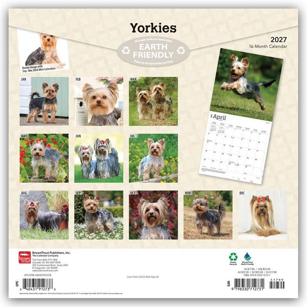 Produktbild: Yorkshire Terriers &ndash; Yorkshire Terrier &ndash; Yorkies 2027 &ndash; 16-Monatskalender