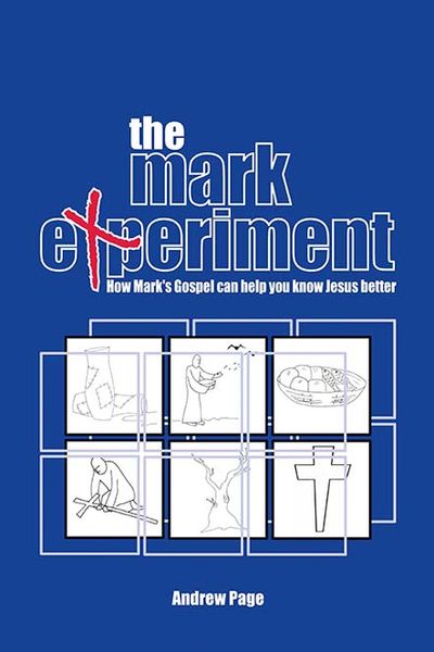 Produktbild: The Mark Experiment