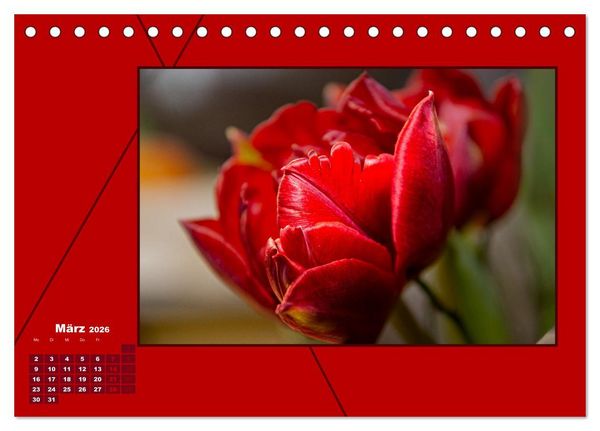 Produktbild: Powerfarbe Rot (Tischkalender 2026 DIN A5 quer), CALVENDO Monatskalender