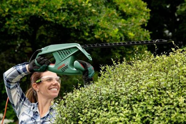 Produktbild: Bosch Home and Garden EasyHedgeCut 55-16 Elektro Heckenschere 450 W