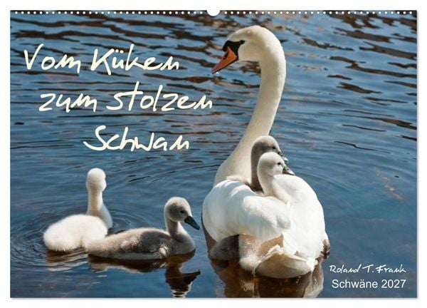 Produktbild: Vom K&uuml;ken zum stolzen Schwan (Wandkalender 2027 DIN A2 quer), CALVENDO Monatskalender