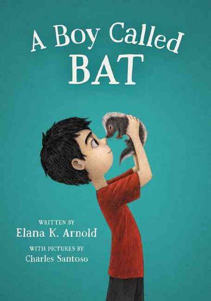 Produktbild: A Boy Called Bat