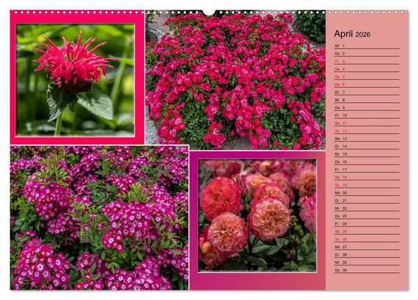 Produktbild: Gartenschau in Erfurt (Wandkalender 2026 DIN A2 quer), CALVENDO Monatskalender