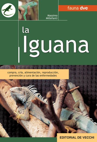 Produktbild: La iguana