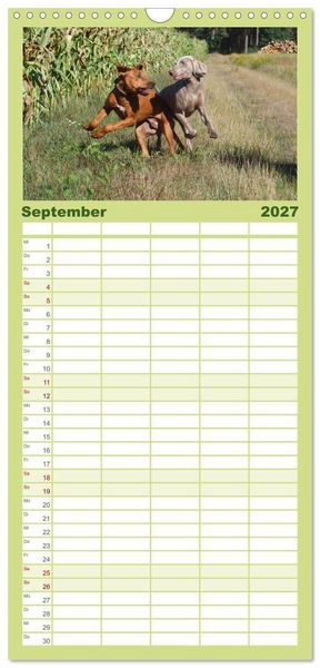 Produktbild: Familienplaner 2027 - Rhodesian Ridgeback - Jung, wild, zuckers&uuml;&szlig; mit 5 Spalten (Wandkalender, 21 x 45 cm) CALVENDO