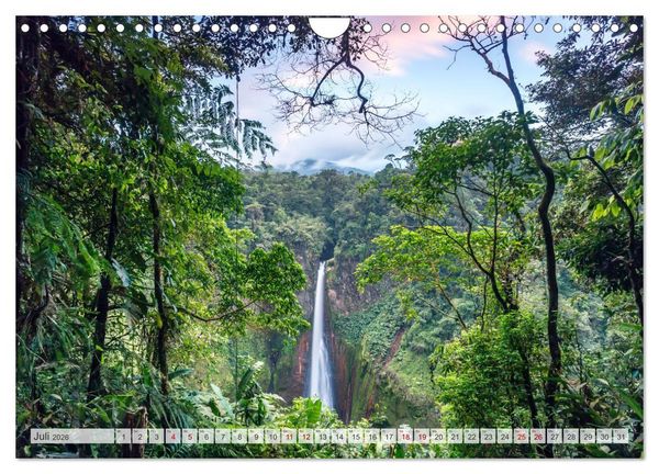 Produktbild: W&auml;lder der Welt (Wandkalender 2026 DIN A4 quer), CALVENDO Monatskalender
