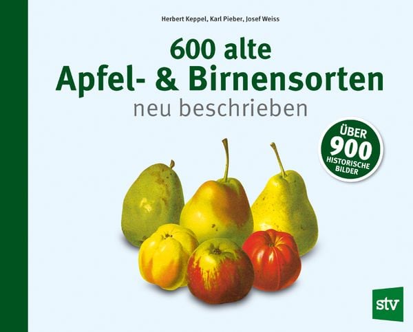 Produktbild: 600 alte Apfel- & Birnensorten neu beschrieben