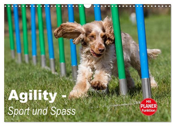 Agility - Sport und Spass (Wandkalender 2026 DIN A3 quer), CALVENDO Monatskalender