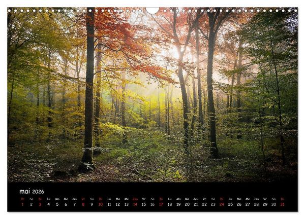 Produktbild: BROCELIANDE, la for&ecirc;t (Calendrier mural 2026 DIN A3 vertical), CALVENDO calendrier mensuel