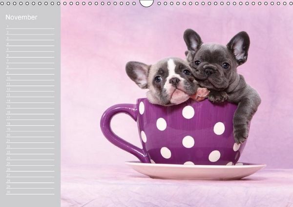Produktbild: Der Bully-Geburtstagskalender - nie wieder einen Geburtstag "verschlafen"... (Wandkalender immerw&auml;hrend DIN A3 quer)