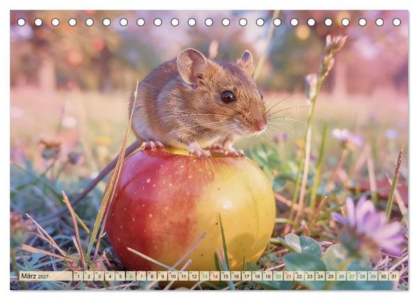 Produktbild: Niedliche Feldm&auml;use in Pastellfarben (Tischkalender 2027 DIN A5 quer), CALVENDO Monatskalender