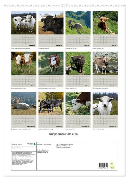 Produktbild: Kuhportraits Hornk&uuml;he (Wandkalender 2026 DIN A2 hoch), CALVENDO Monatskalender