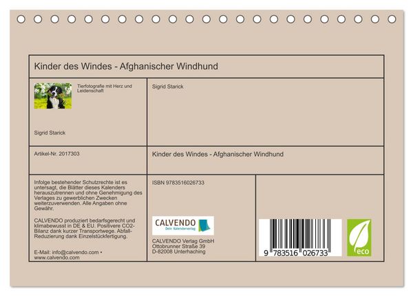 Produktbild: Kinder des Windes - Afghanischer Windhund (Tischkalender 2026 DIN A5 quer), CALVENDO Monatskalender