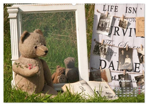 Produktbild: Geliebte B&auml;ren - Teddys (hochwertiger Premium Wandkalender 2026 DIN A2 quer), Kunstdruck in Hochglanz