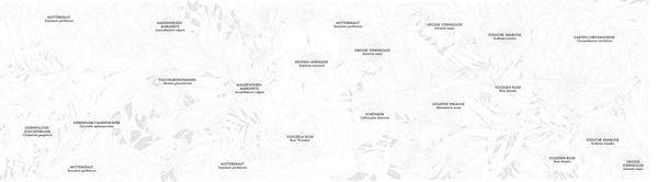 Produktbild: Bl&uuml;ten-Panorama | Atemberaubendes Blumen-Leporello zum Ausmalen und Aufstellen