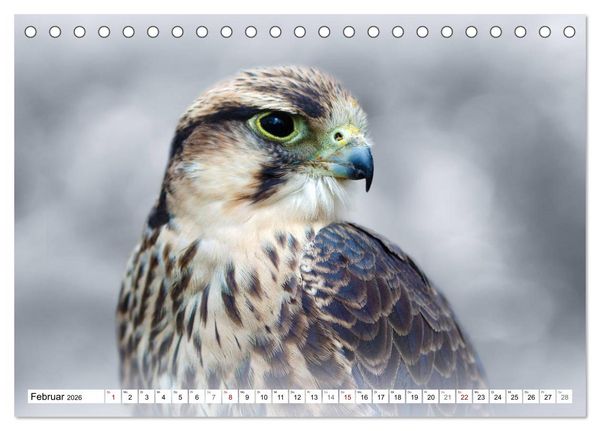 Produktbild: Erfolgreiche J&auml;ger (Tischkalender 2026 DIN A5 quer), CALVENDO Monatskalender