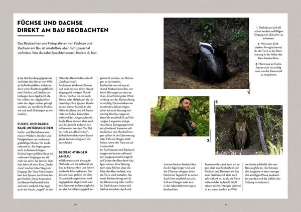 Produktbild: Tiere beobachten mit dem Wildtierguide