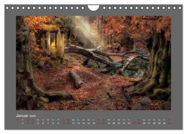 Produktbild: Waldgeheimnisse (Wandkalender 2026 DIN A4 quer), CALVENDO Monatskalender