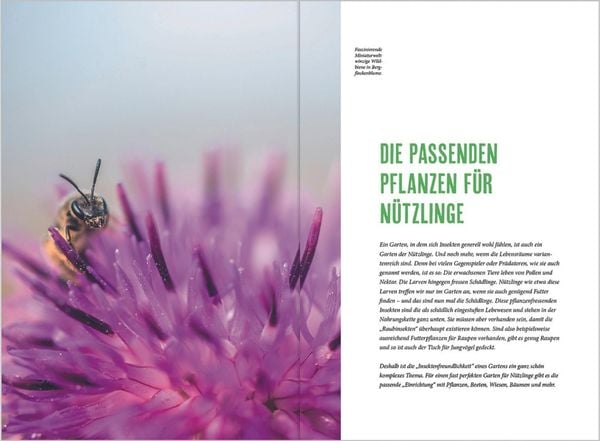 Produktbild: MDR Garten - Richtig g&auml;rtnern f&uuml;r N&uuml;tzlinge