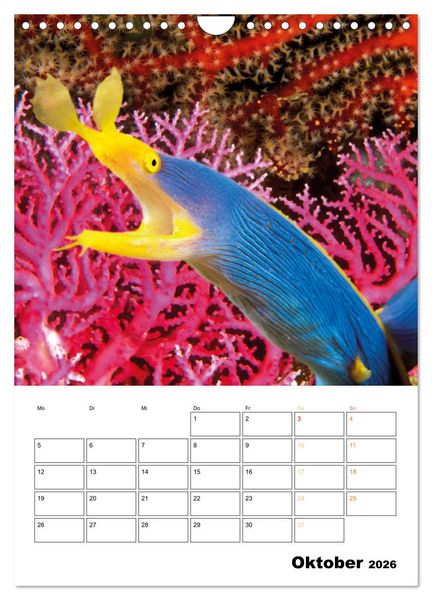 Produktbild: Farbrausch unter Wasser: Fische am Riff (Wandkalender 2026 DIN A4 hoch), CALVENDO Monatskalender
