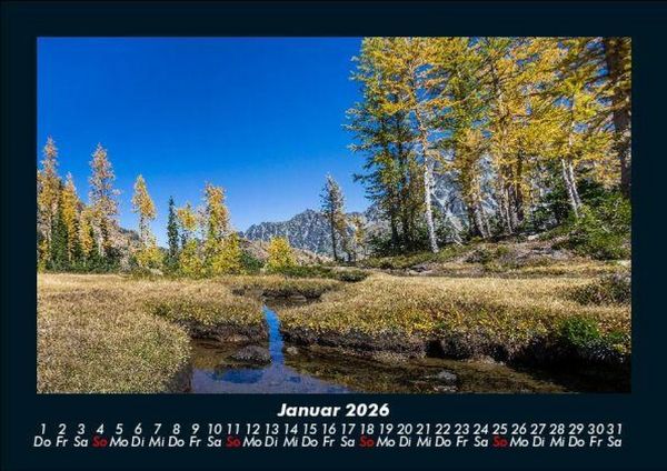 Produktbild: B&auml;ume 2026 Fotokalender DIN A5