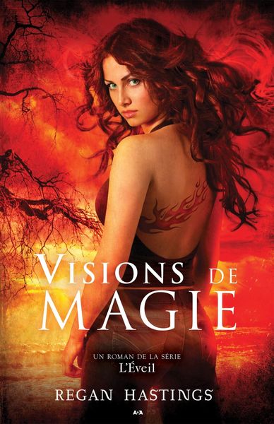 Produktbild: Visions de magie