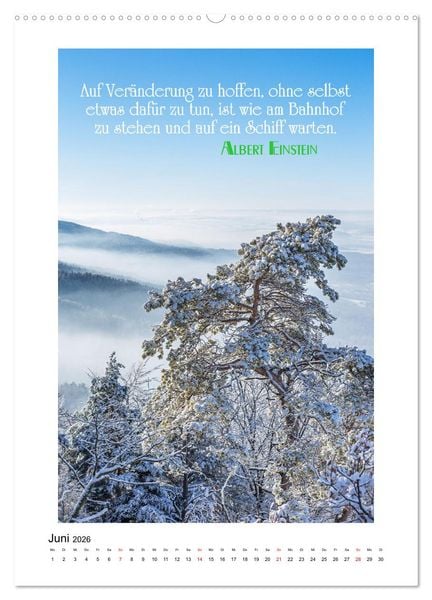 Produktbild: Interessante Zitate (Wandkalender 2026 DIN A2 hoch), CALVENDO Monatskalender