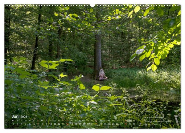 Produktbild: HAIKU AM TEICH (hochwertiger Premium Wandkalender 2026 DIN A2 quer), Kunstdruck in Hochglanz