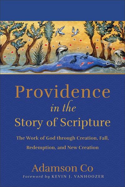Produktbild: Providence in the Story of Scripture