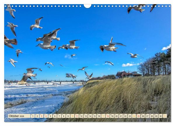 Produktbild: Reise durch Deutschland - Mecklenburg-Vorpommern (Wandkalender 2026 DIN A3 quer), CALVENDO Monatskalender