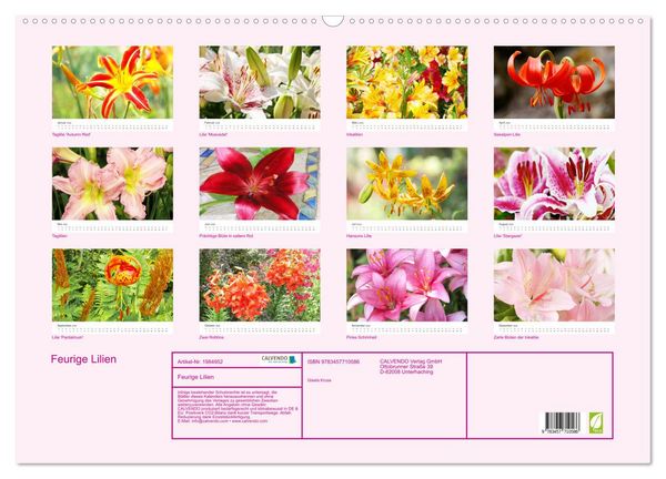 Produktbild: Feurige Lilien (Wandkalender 2026 DIN A2 quer), CALVENDO Monatskalender