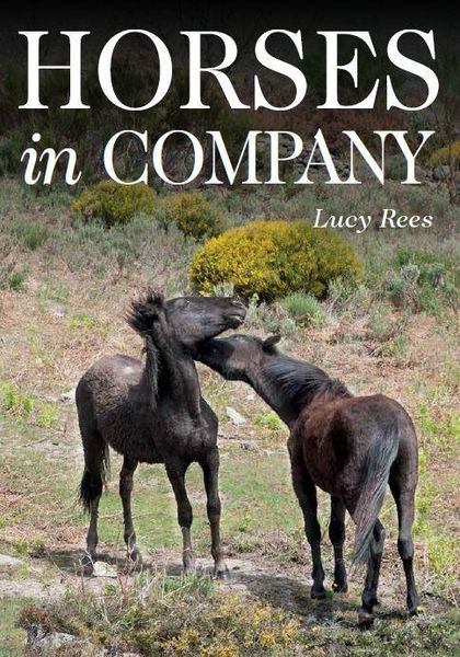 Produktbild: Horses in Company
