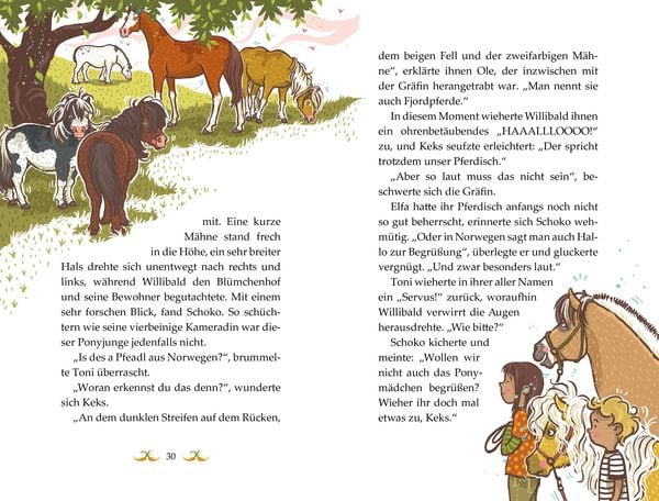Produktbild: Die Haferhorde - Ponymut macht alles gut
