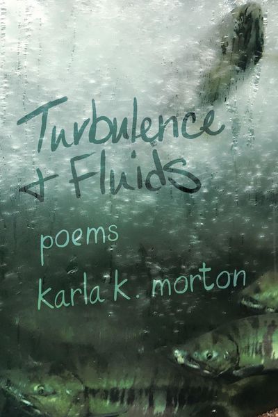 Produktbild: Turbulence & Fluids