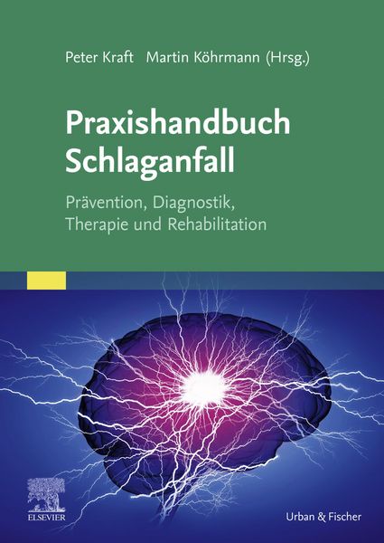 Produktbild: Praxishandbuch Schlaganfall