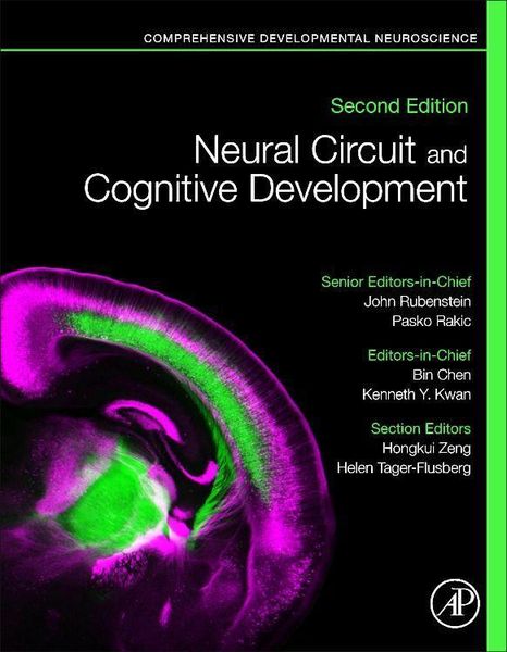 Produktbild: Neural Circuit and Cognitive Development