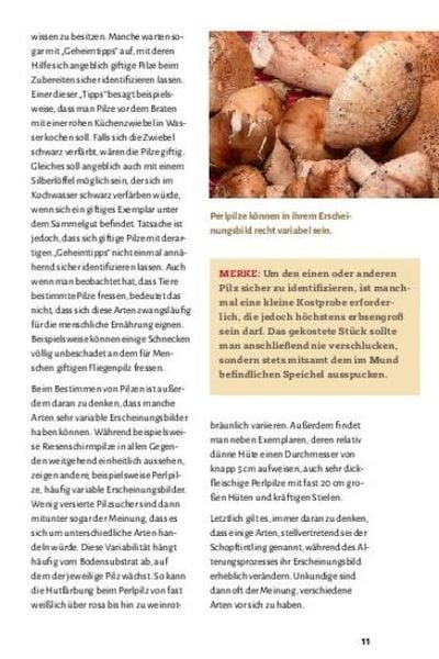 Produktbild: Pilze bestimmen - Der kleine Pilzf&uuml;hrer f&uuml;r Einsteiger und Fortgeschrittene
