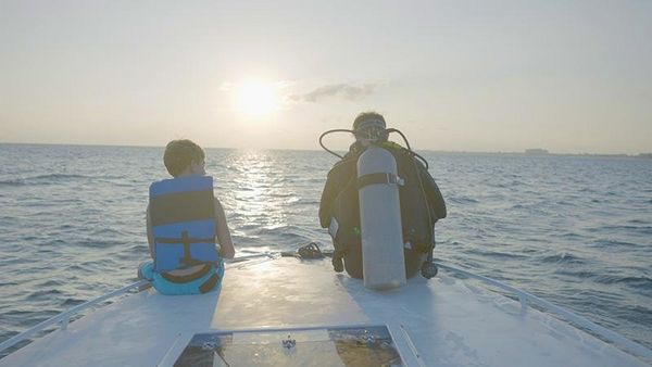 Produktbild: Echo, der Delphin - Eine Freundschaft f&uuml;rs Leben