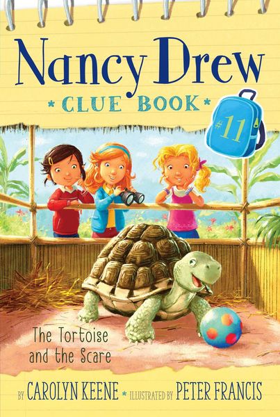 Produktbild: The Tortoise and the Scare