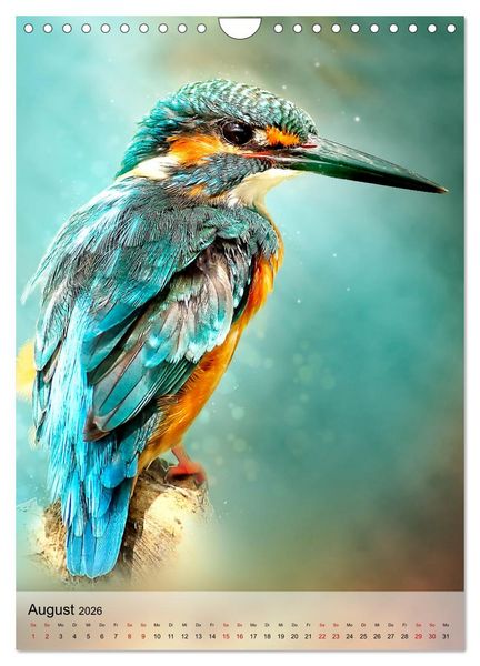 Produktbild: Schillernder Eisvogel (Wandkalender 2026 DIN A4 hoch), CALVENDO Monatskalender