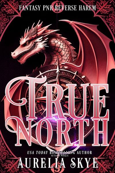 Produktbild: True North